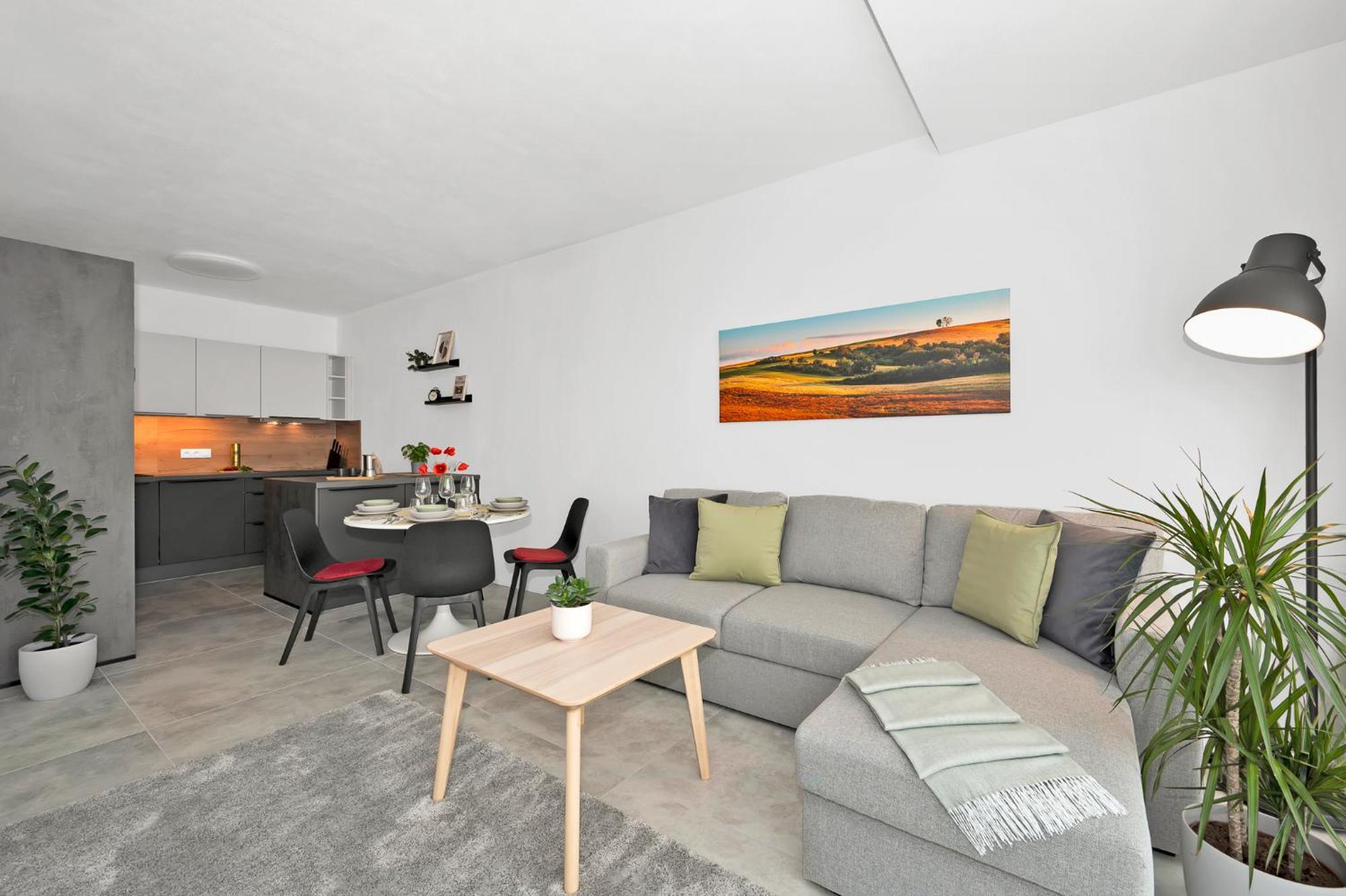 Fully Equipped Apartments With Terraces, Free Garage Parking, Netflix & Ac - By Apartmany Slapanice Cz Eksteriør bilde
